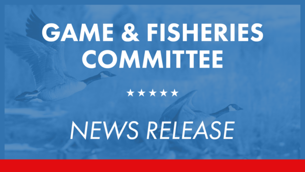 Senate Game and Fisheries Committee Unanimously Approves Bill to Create a Volunteer Instructor License